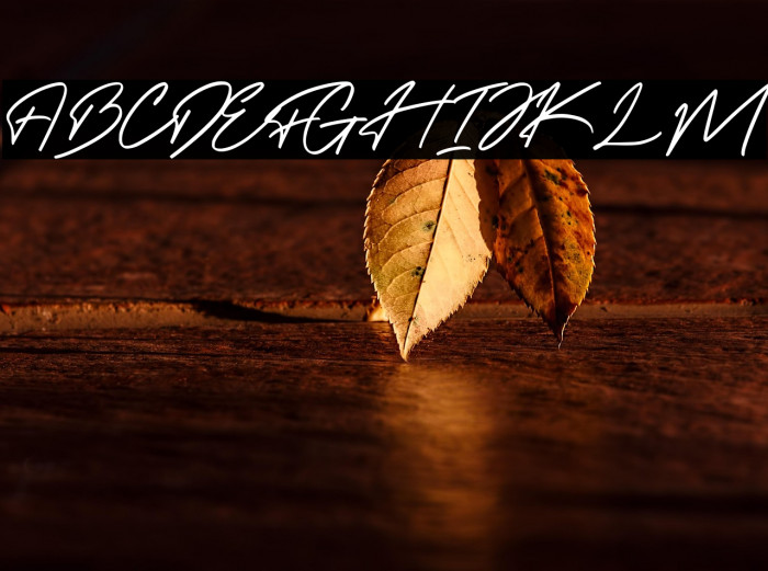 Felisha Roseland Demo Example 3