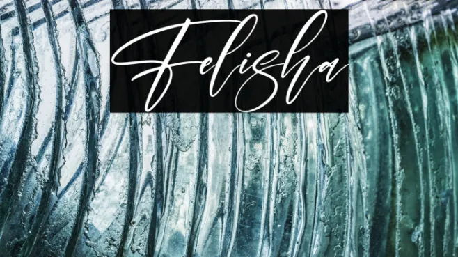 Felisha Example 2