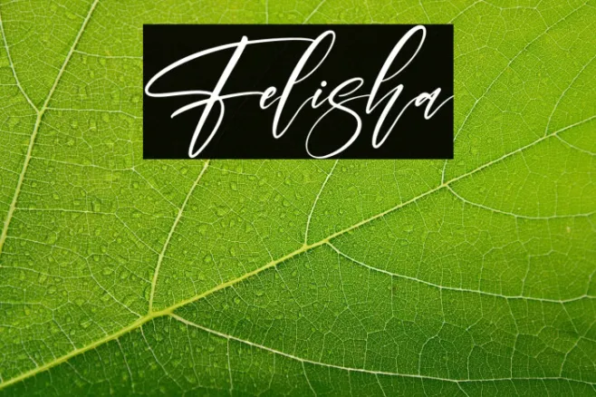 Felisha Example 3
