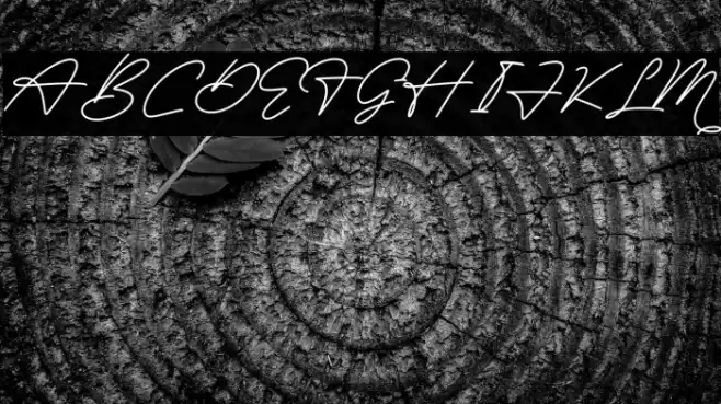 Felisia फ़ॉन्ट examples