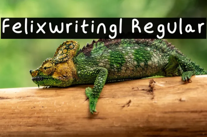Felixwriting1 Regular Example 1