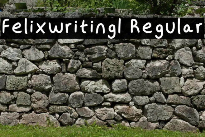 Felixwriting1 Regular Example 2