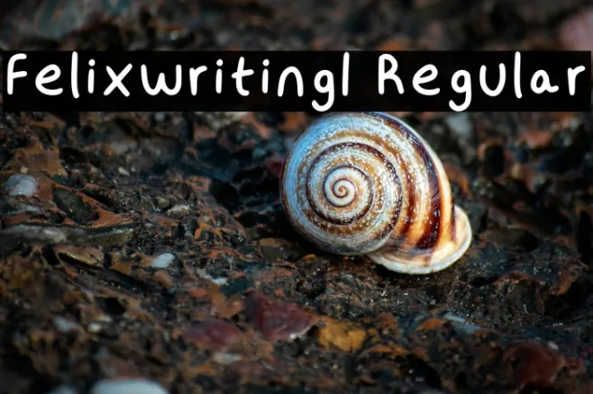 Felixwriting1 Regular Example 3