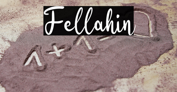 Fellahin Example 1