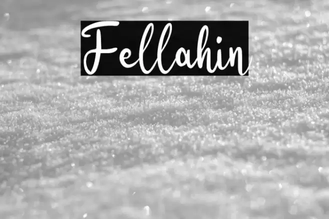 Fellahin Font examples