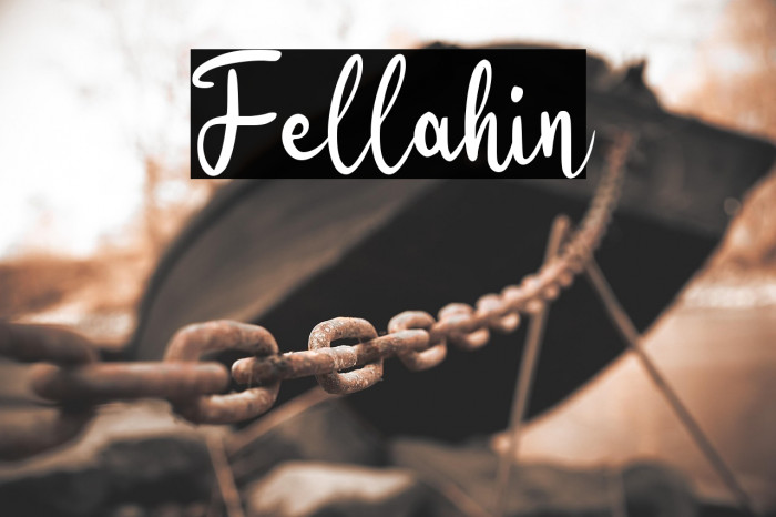 Fellahin Example 3