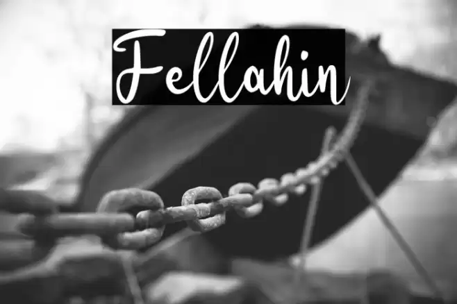 Fellahin Font examples