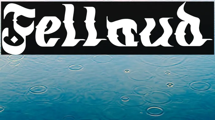 Fellaud Example 1