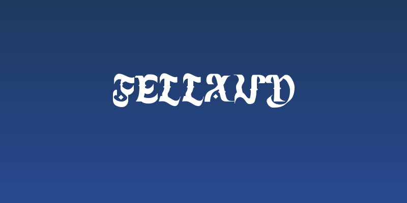 Fellaud Social Header