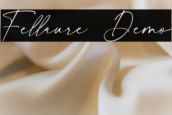 Fellaure Demo Example 1