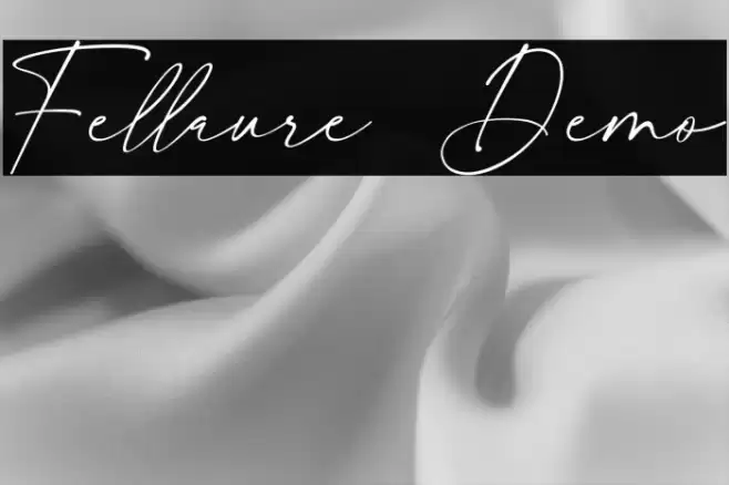 Fellaure Demo Шрифта examples