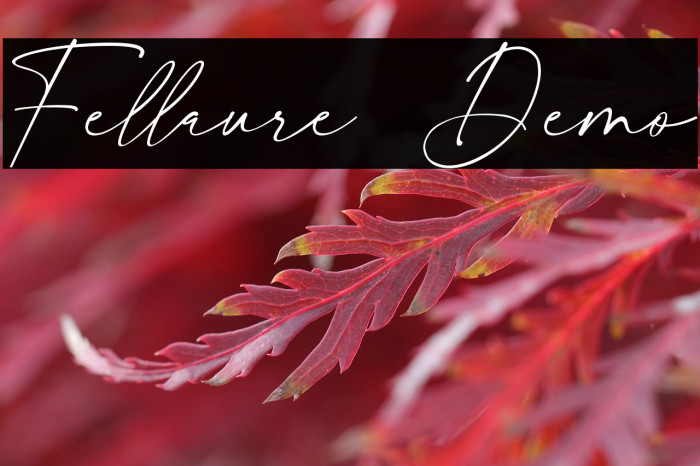 Fellaure Demo Example 2