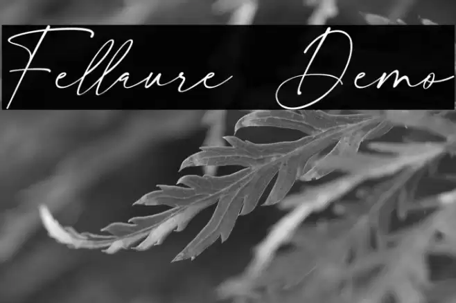 Fellaure Demo Шрифта examples