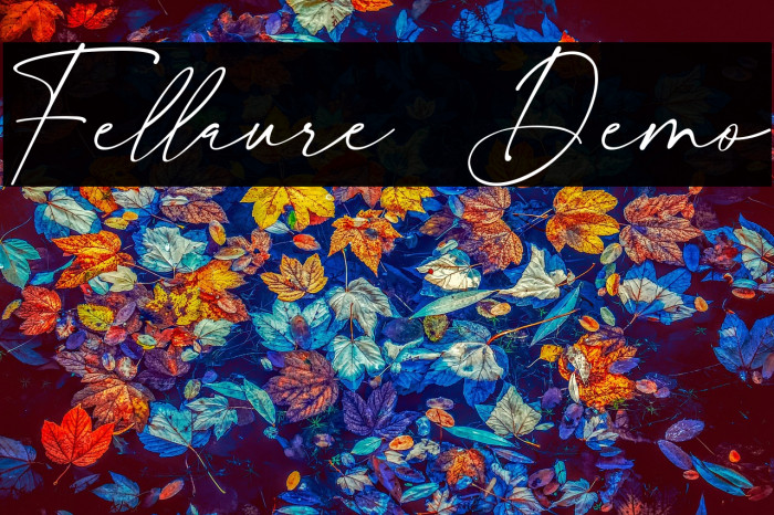 Fellaure Demo Example 3