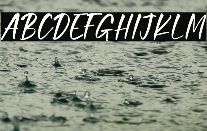 Fellicia Personal Use Example 3