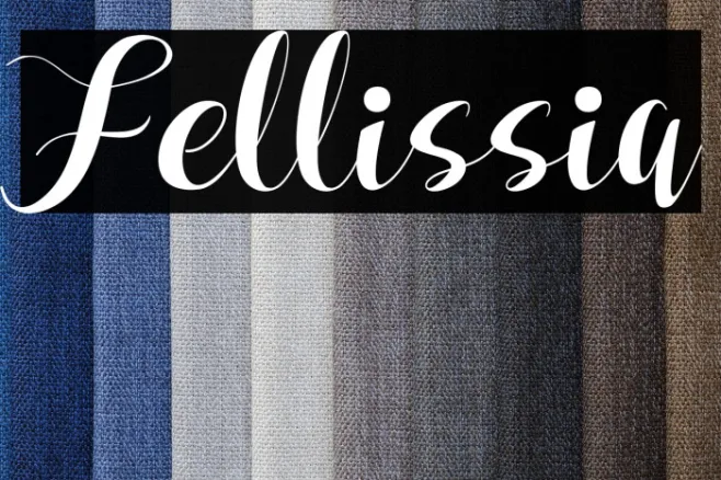 Fellissia Example 1