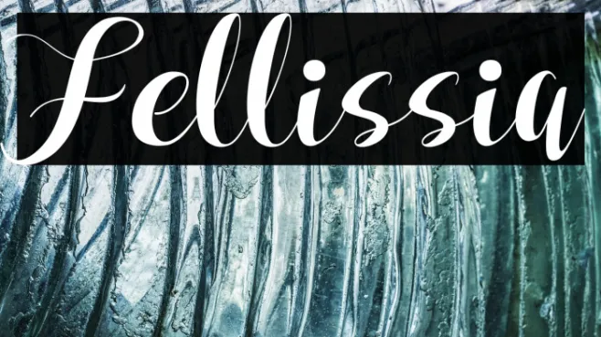 Fellissia Example 2