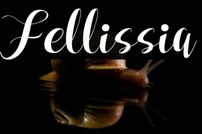 Fellissia Example 3