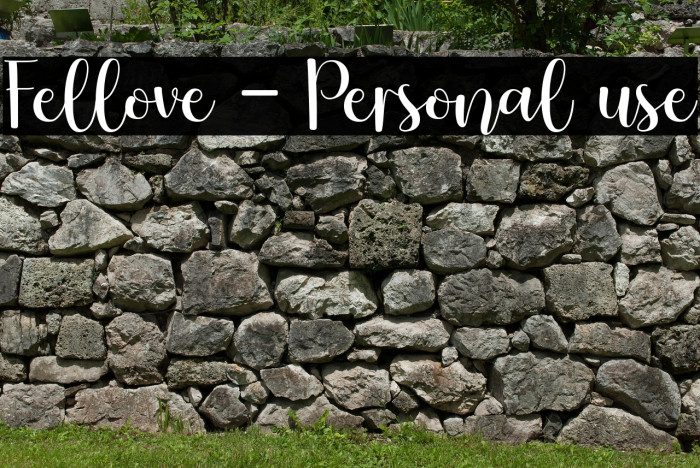 Fellove - Personal use Example 1