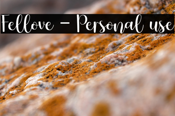 Fellove - Personal use Example 2