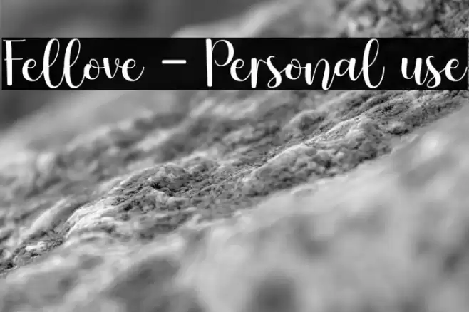 Fellove - Personal use Fonte examples