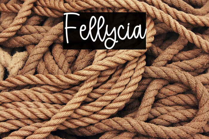 Fellycia Example 1