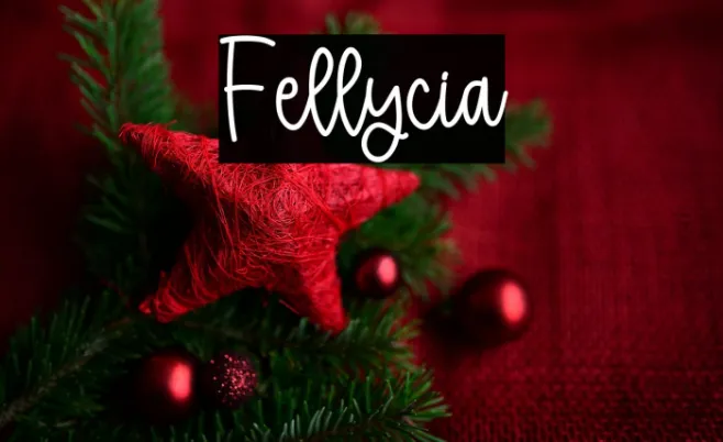 Fellycia Example 2