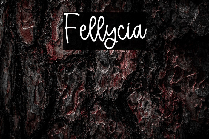 Fellycia Example 3
