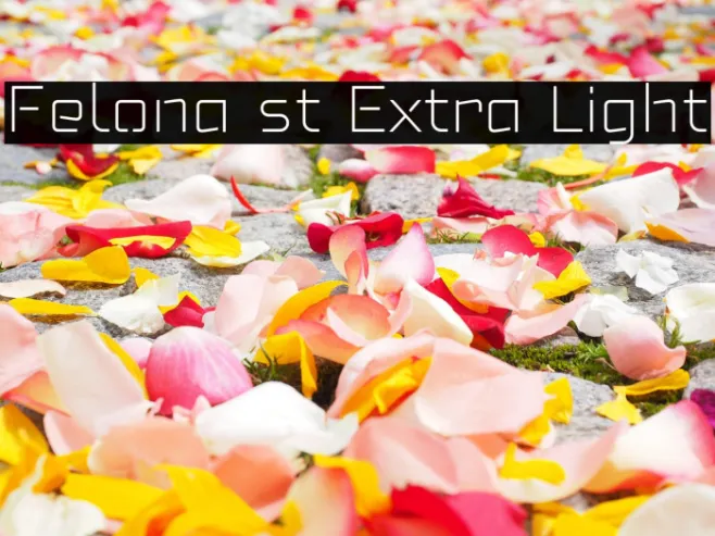 Felona st Extra Light Example 2