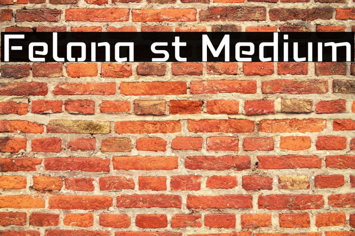 Felona st Medium Example 2