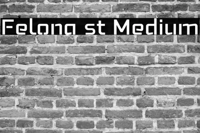 Felona st Medium Font examples