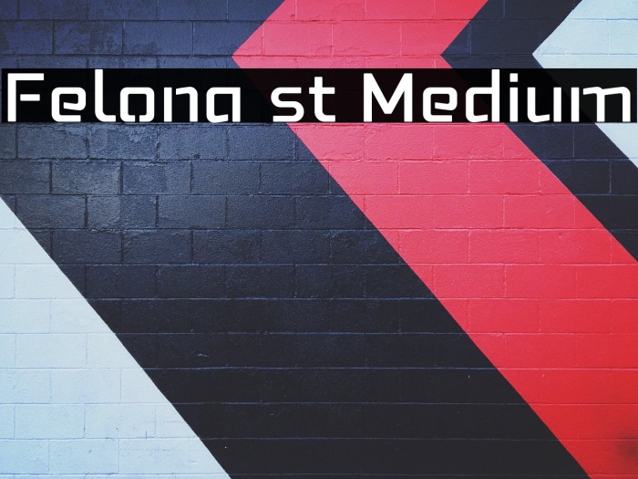 Felona st Medium Example 3