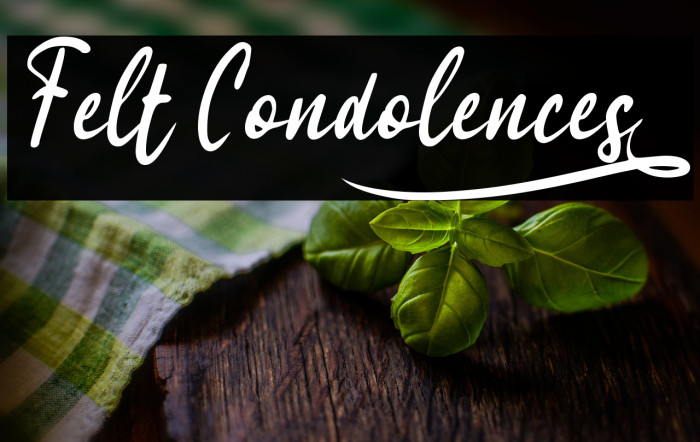 Felt Condolences_ Example 2