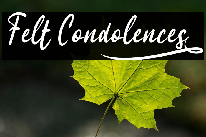 Felt Condolences_ Example 3