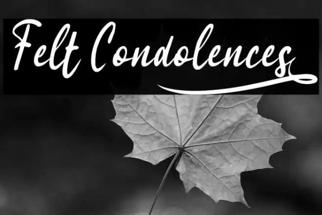 Felt Condolences_ Font examples