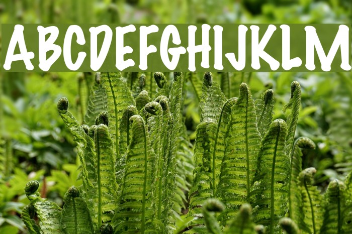 Felt Regular Font examples