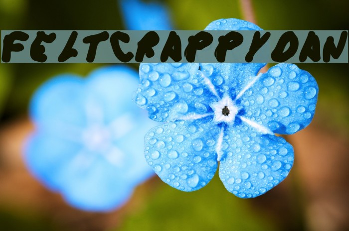 FeltCrappyDan Font examples