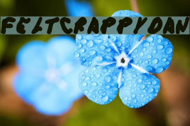 FeltCrappyDan Example 2