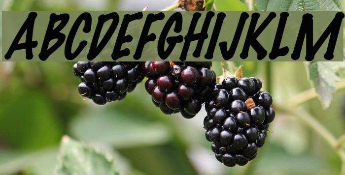 FeltMark-Italic Font examples
