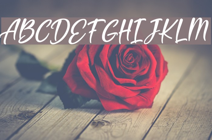 Feltarigo Font examples