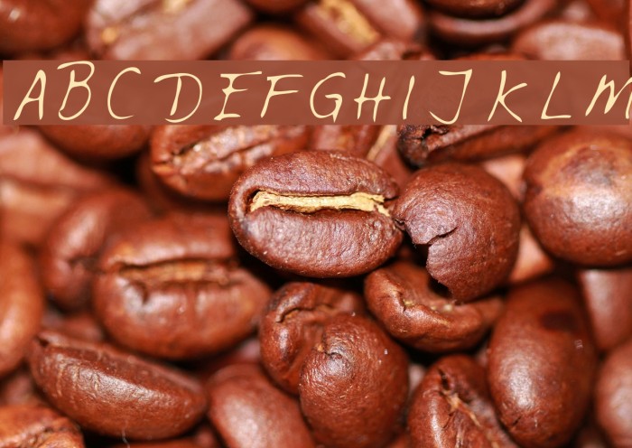 Feltpen Font examples