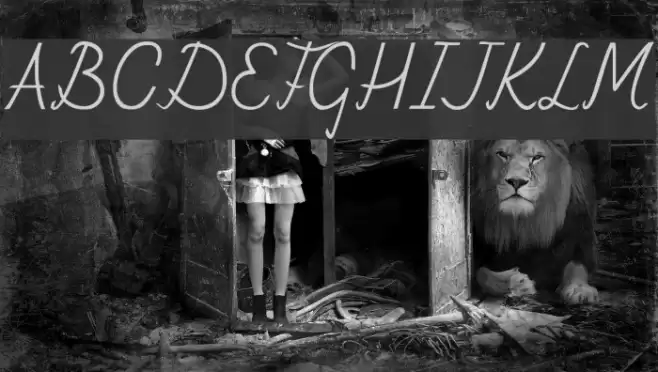 Fely Schriftart examples