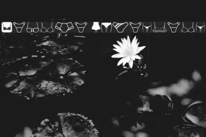 Female Underwear Font examples