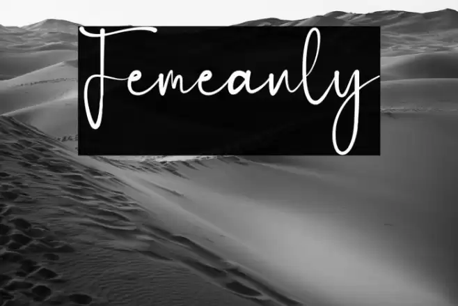 Femeanly Font examples