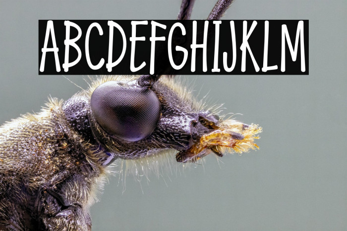 FemilaAuthenty Example 2