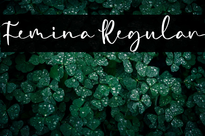 Femina Regular Example 1
