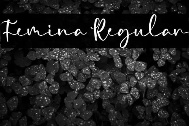 Femina Regular Font examples