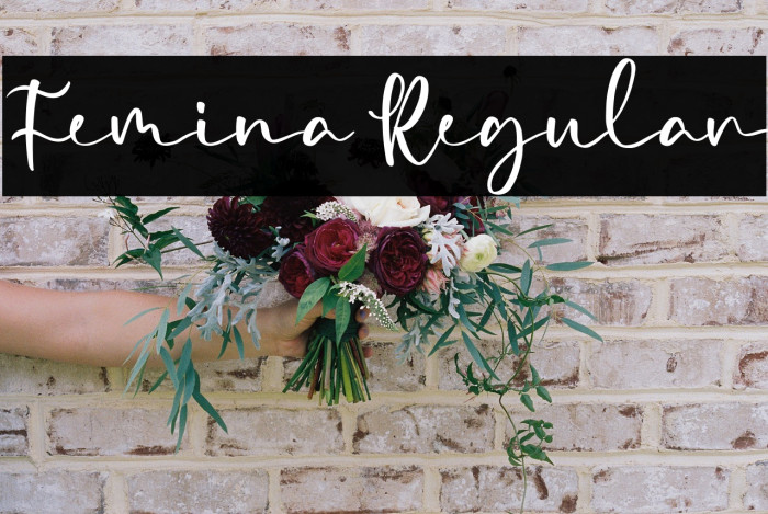 Femina Regular Example 2