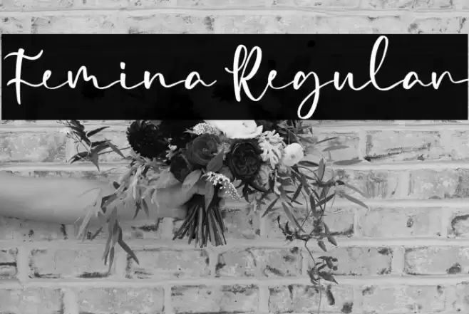 Femina Regular Font examples