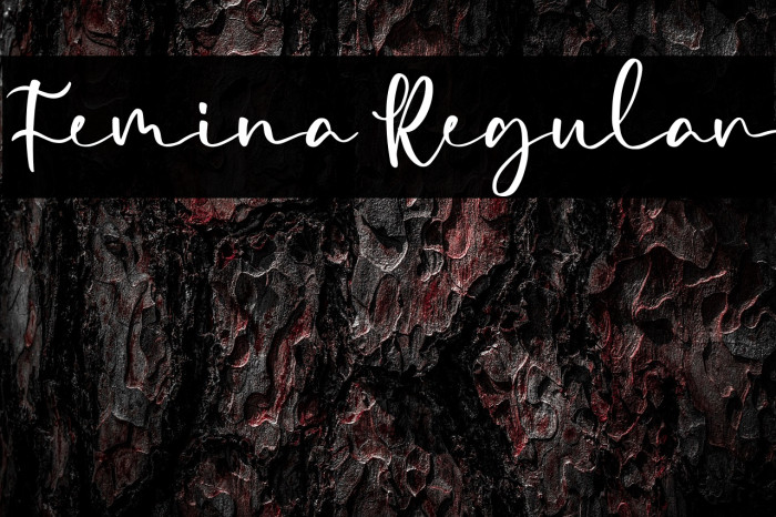 Femina Regular Example 3